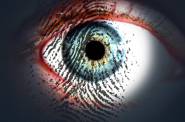 eye, fingerprint, eye scan, iris, personalization, data retention, flexibility, data security, personality rights, security, sensitive data, confidentiality, availability, integrity, information security, it security management, it-grundschutz, protection against, hazards, threat, symbolic, symbol, fingerprint, fingerprint, fingerprint, fingerprint, fingerprint