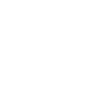 icon of a family